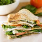Badass Quesadilla Recipes collage | Hurry The Food Up