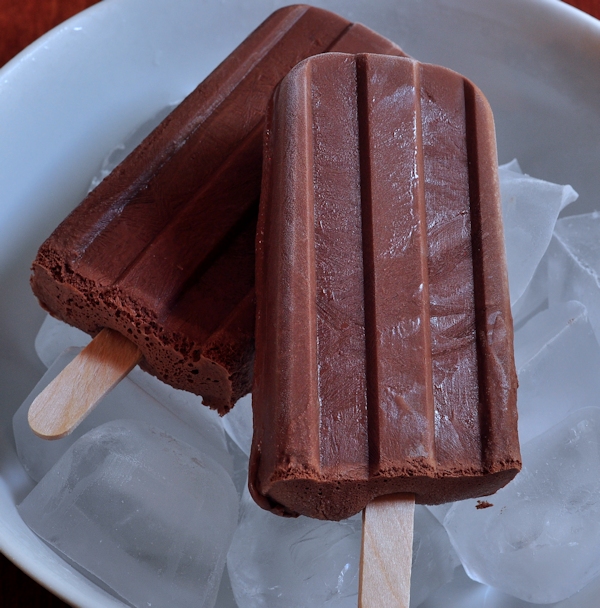 Coconut Milk Fudgesicles Coconut Milk Fudgesicles