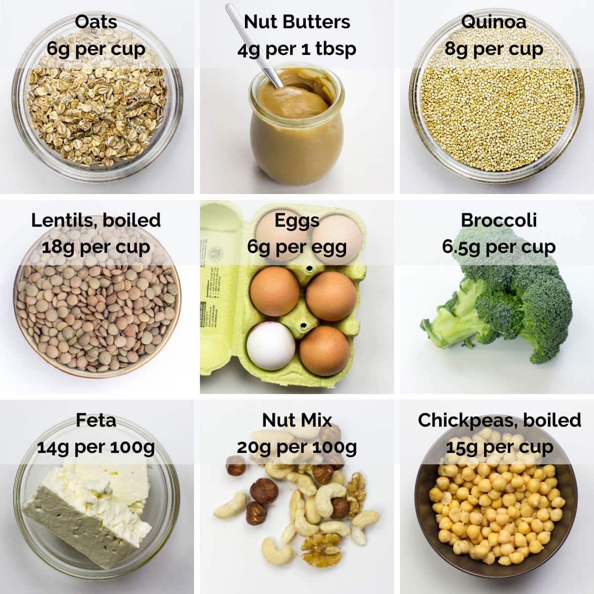 protein foods for weight loss