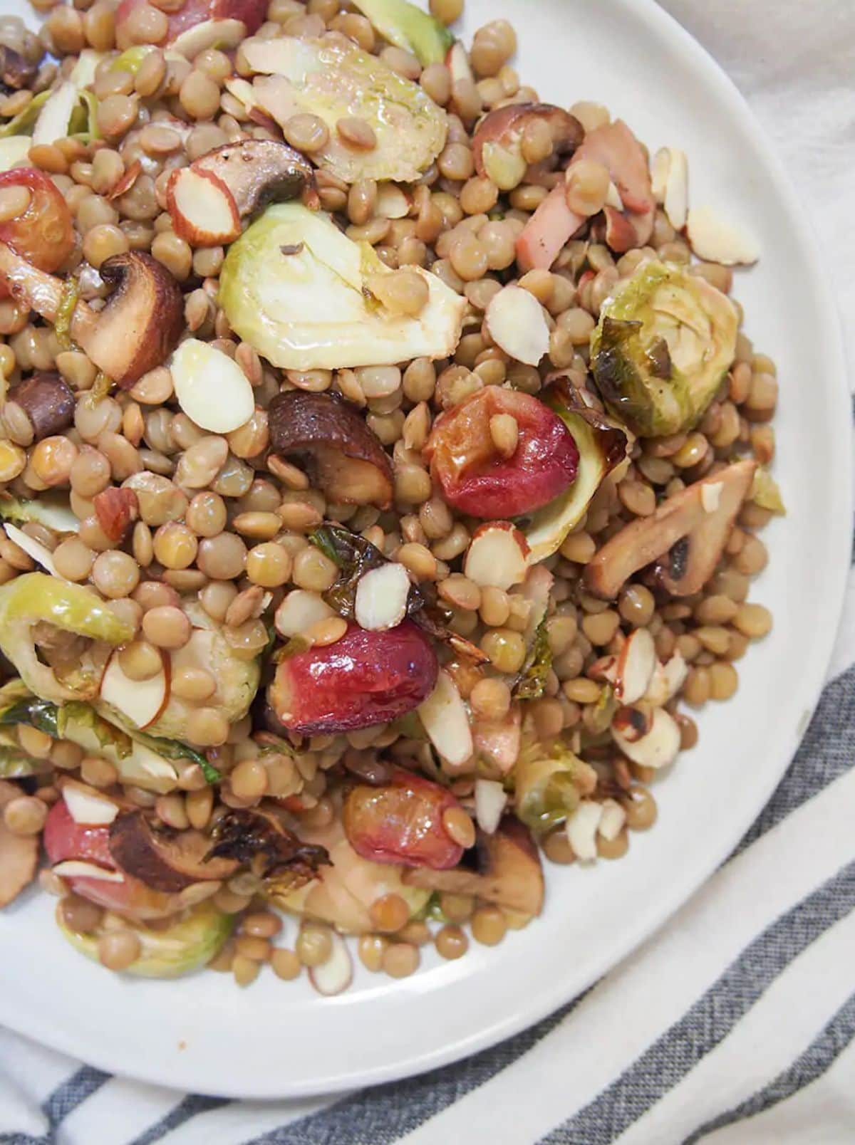 vegan appetizer recipes vegan appetizer recipes