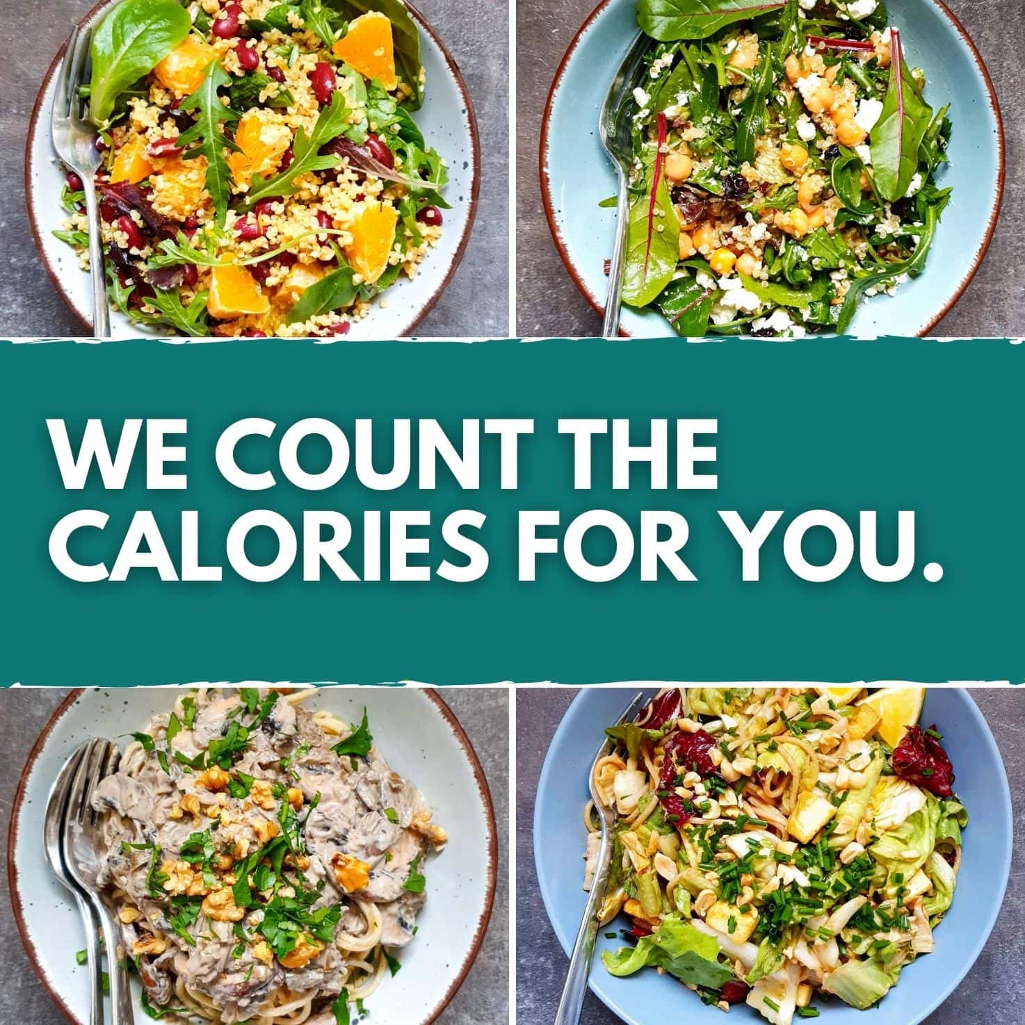 Vegetarian Weight loss Meal Plan Program (2) lunch