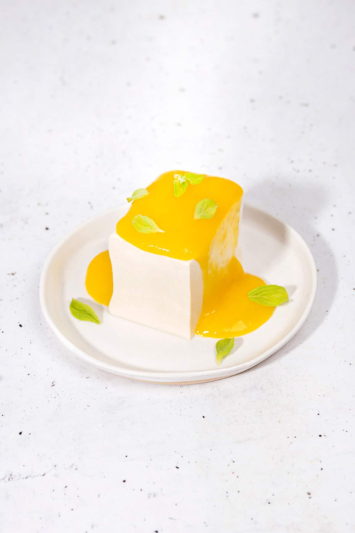 Japanese Silken Tofu Dessert with Mango Coulis - 33