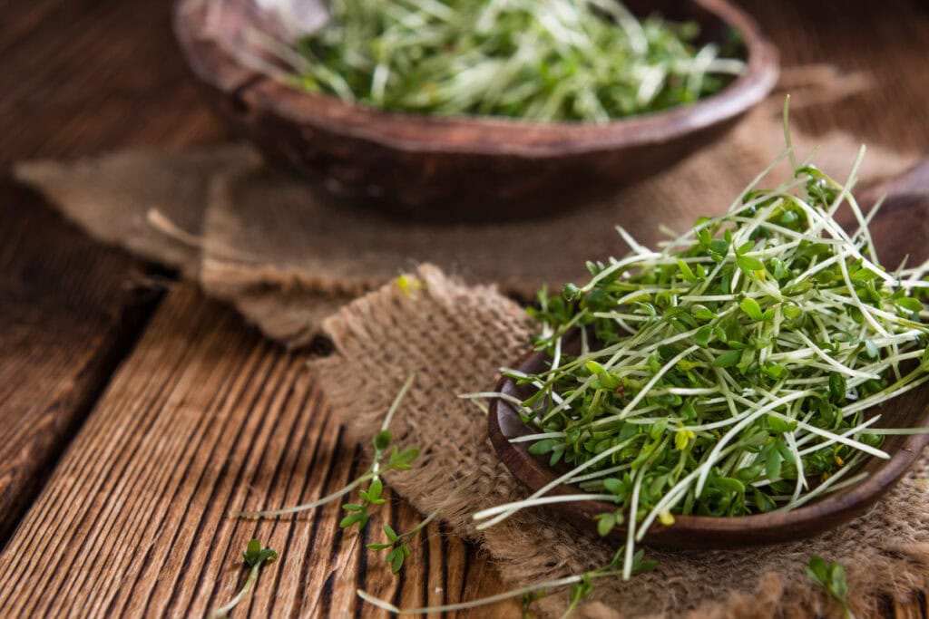 0Cress are on the straw tablecloths | Hurry The Food Up