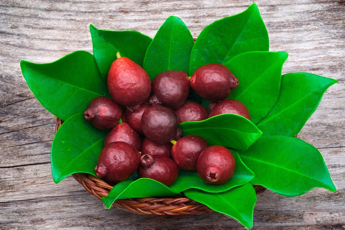 Cattley Guava on a straw plate | Hurry The Food Up