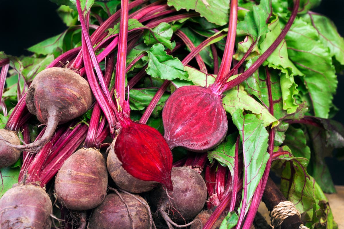 Beetroot | Hurry The Food Up