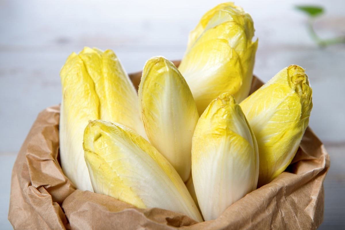 A paper bag filled with 5 endives | Hurry The Food Up