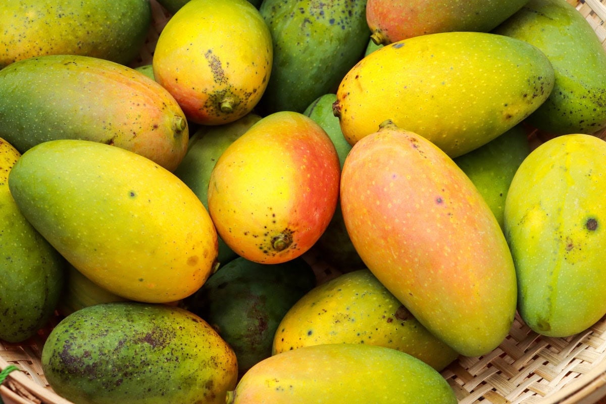 Fresh fazli mango | Hurry The Food Up