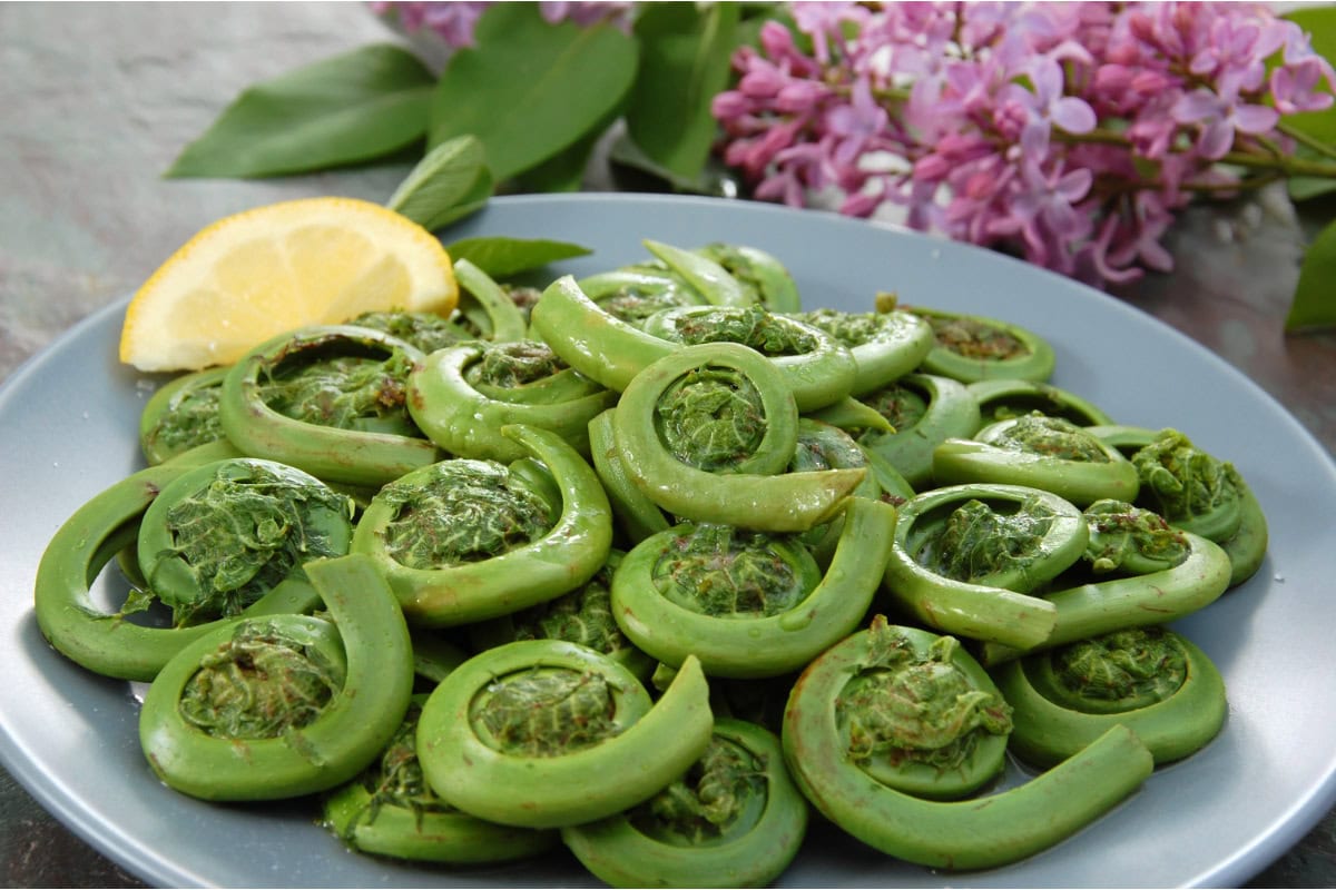 Fiddlehead Ferns lie on the grey plate decorated with a piece of lemon. Behind it, there is a branch of lilac | Hurry The Food Up