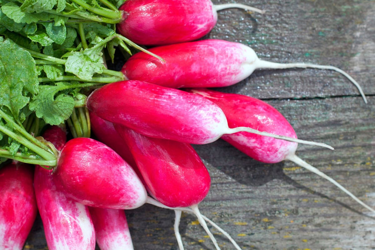 French breakfast radishes are on the wooden surface | Hurry The Food Up