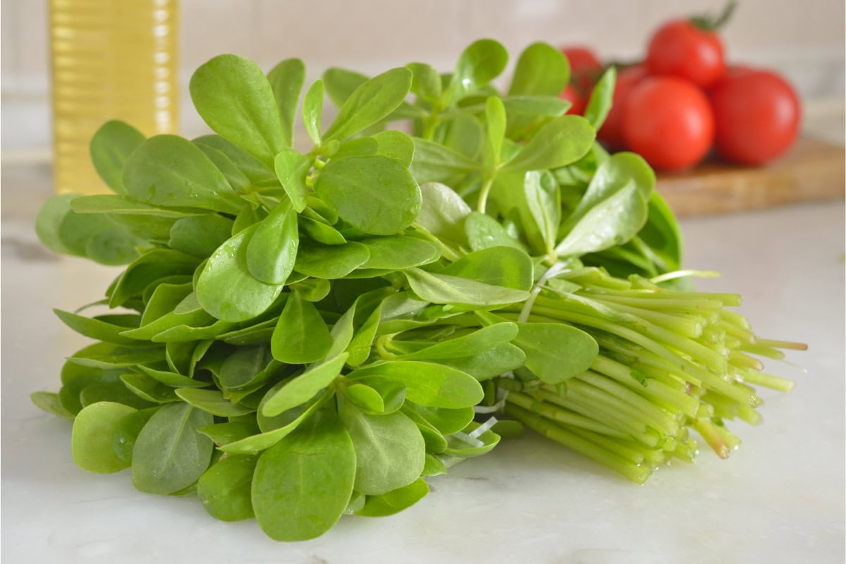 A bundle of french purslane lies on the light surface. There are some tomatoes behind it | Hurry The Food Up