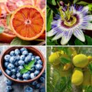 Fruits That Start With B | Hurry The Food Up