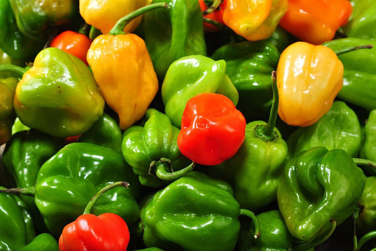 A few green, red and orange habanero peppers | Hurry The Food Up