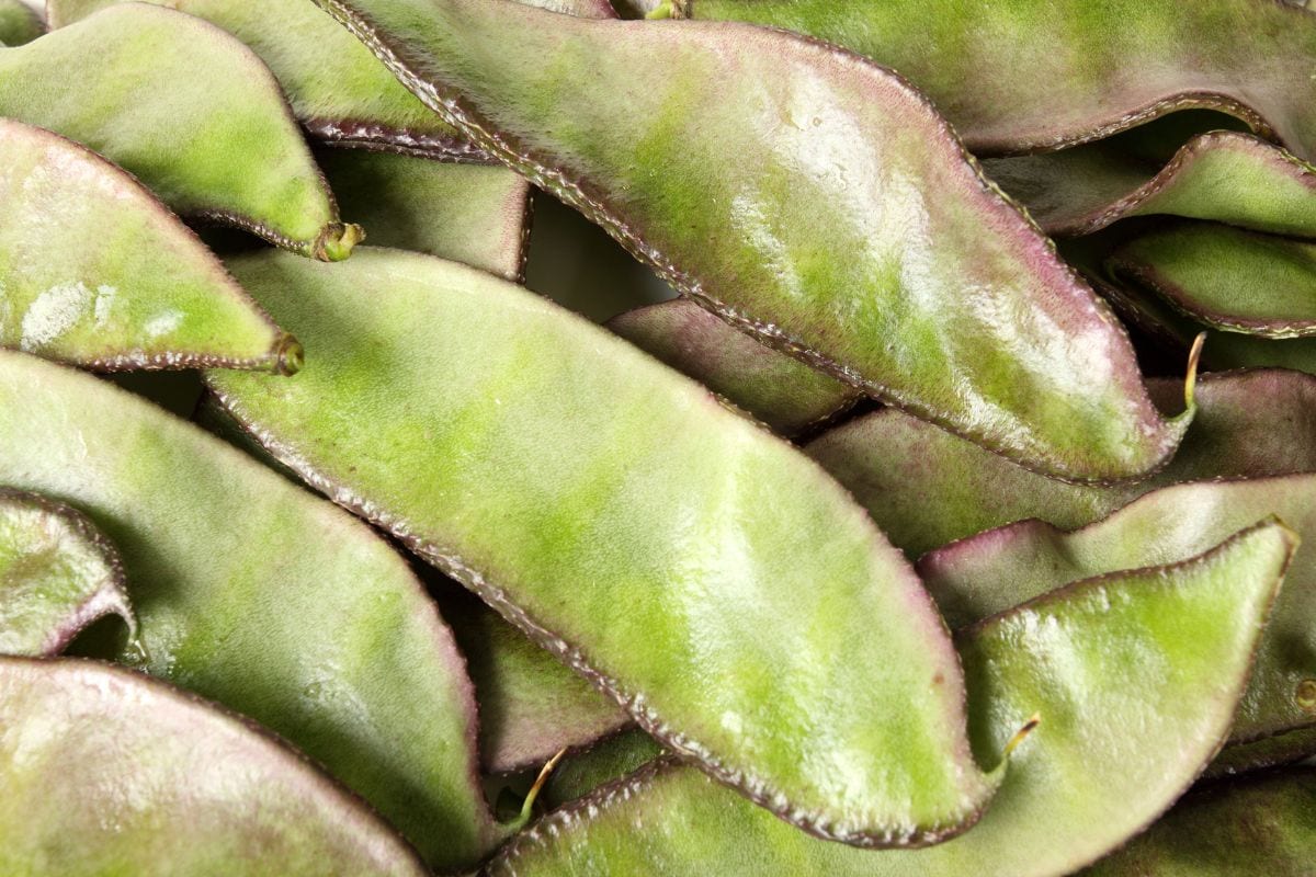 A few hyacinth beans | Hurry The Food Up