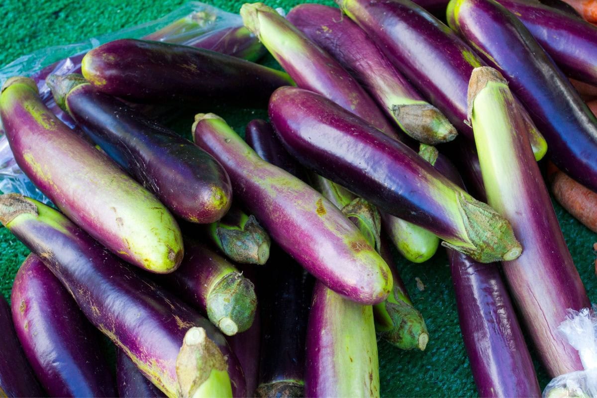 A pile of Japanese eggplants on astroturf | Hurry The Food Up