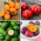 Fabulous Fruits Starting With F | Hurry The Food Up