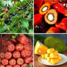 Title Image - Fruits That Start With J | Hurry The Food Up