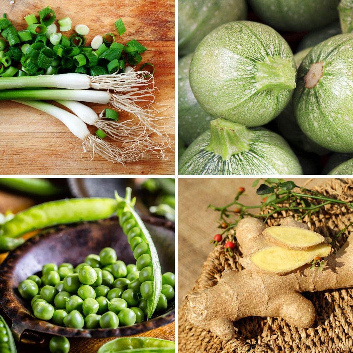 16 Vegetables That Start With G: The Ultimate List!