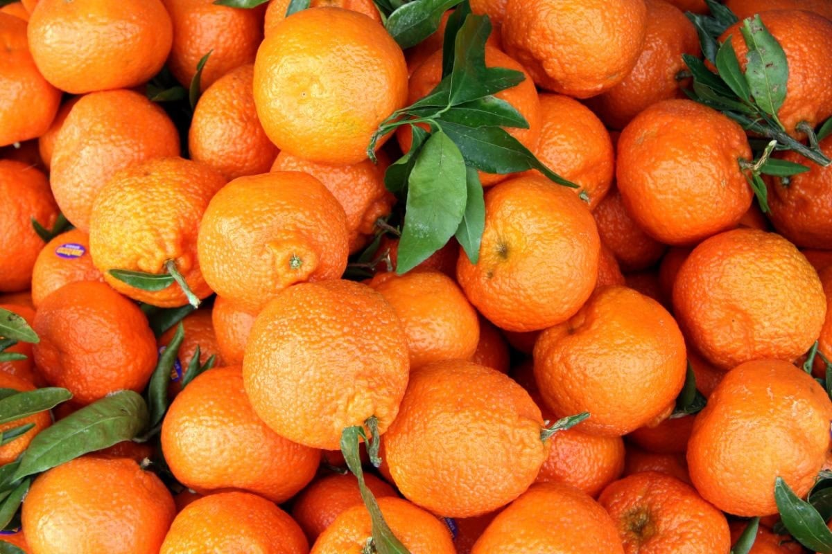 Mandarins with green leaves in a pile | Hurry The Food Up