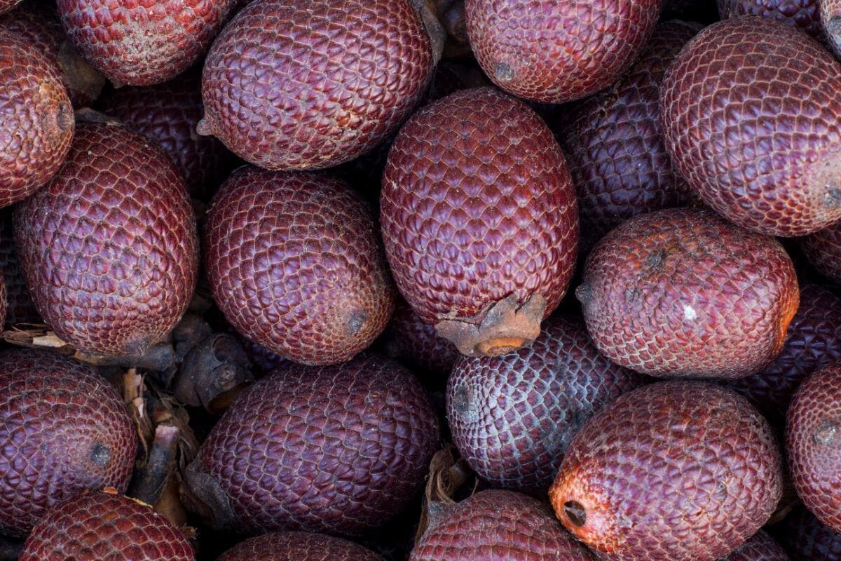 A group of brown purple coloured moriche palm fruits fill the image | Hurry The Food Up