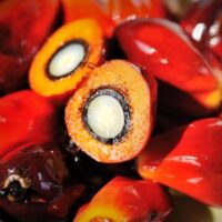 Recipe Card Block Image - Fruits That Start With J | Hurry The Food Up - 9