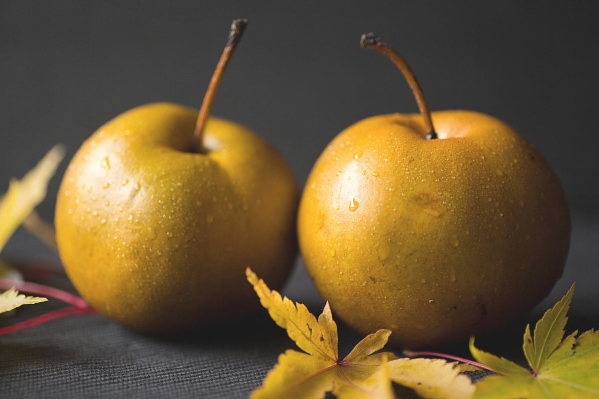 Two fruits of the Asian pear are on the dark surface. Some yellow leaves lie near them | Hurry The Food Up