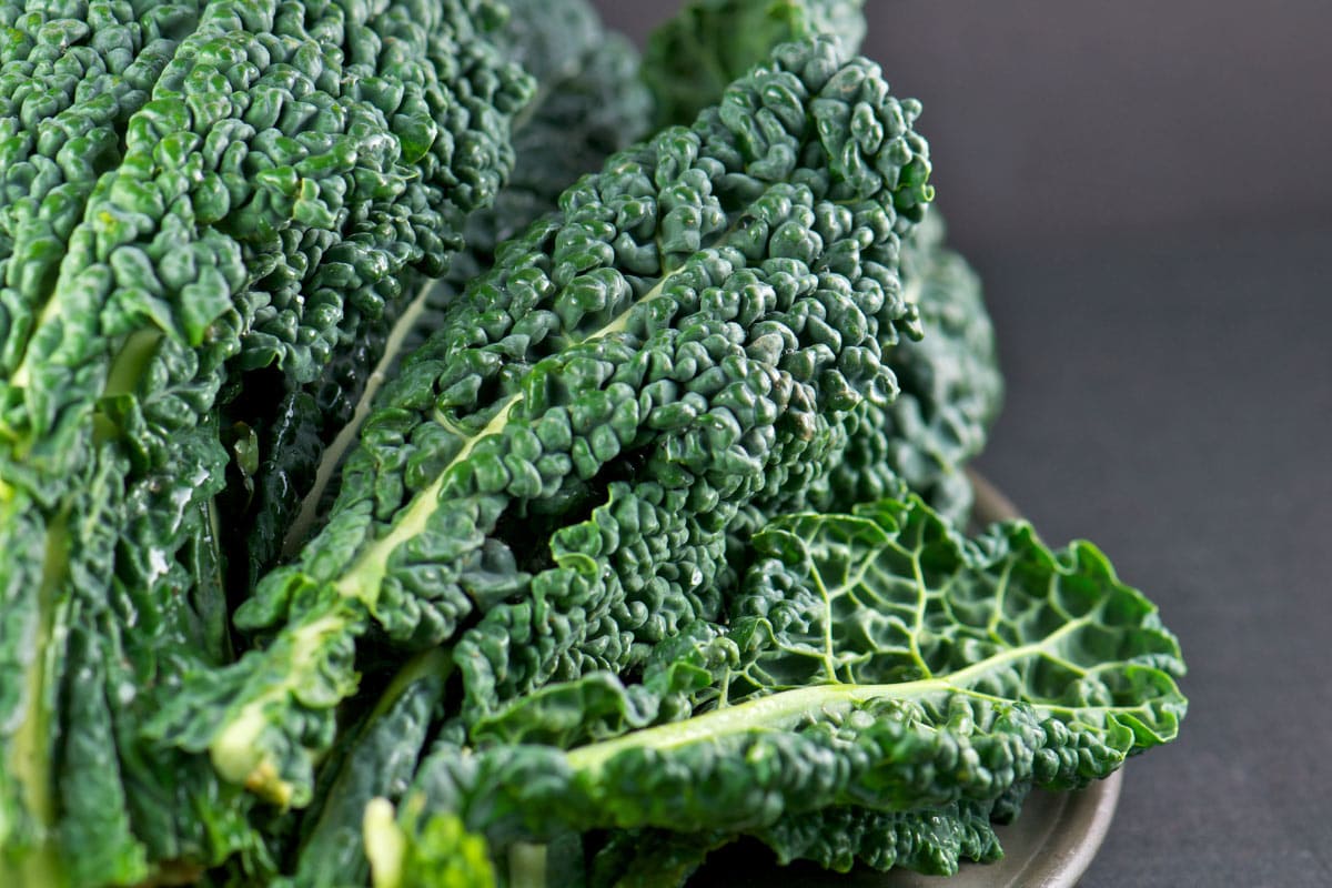 Dinosaur Kale | Hurry The Food Up