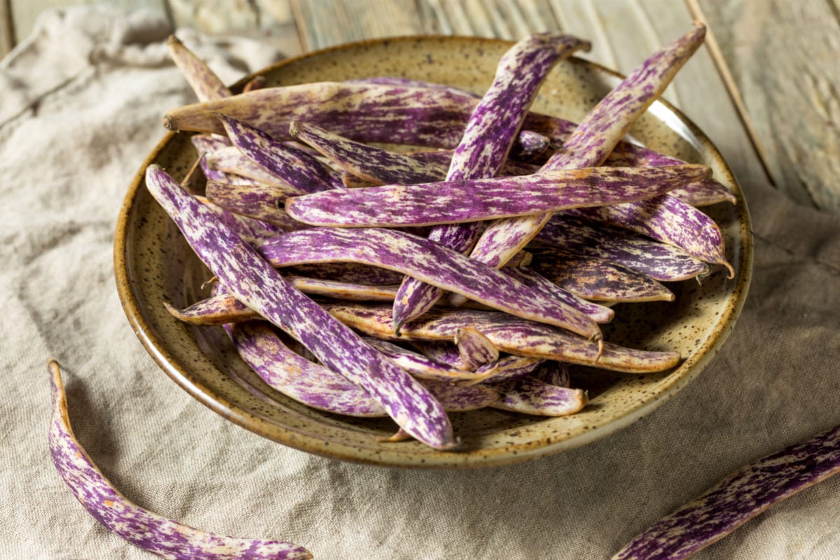 Dragon Tongue Bush Bean are on the plate | Hurry The Food Up