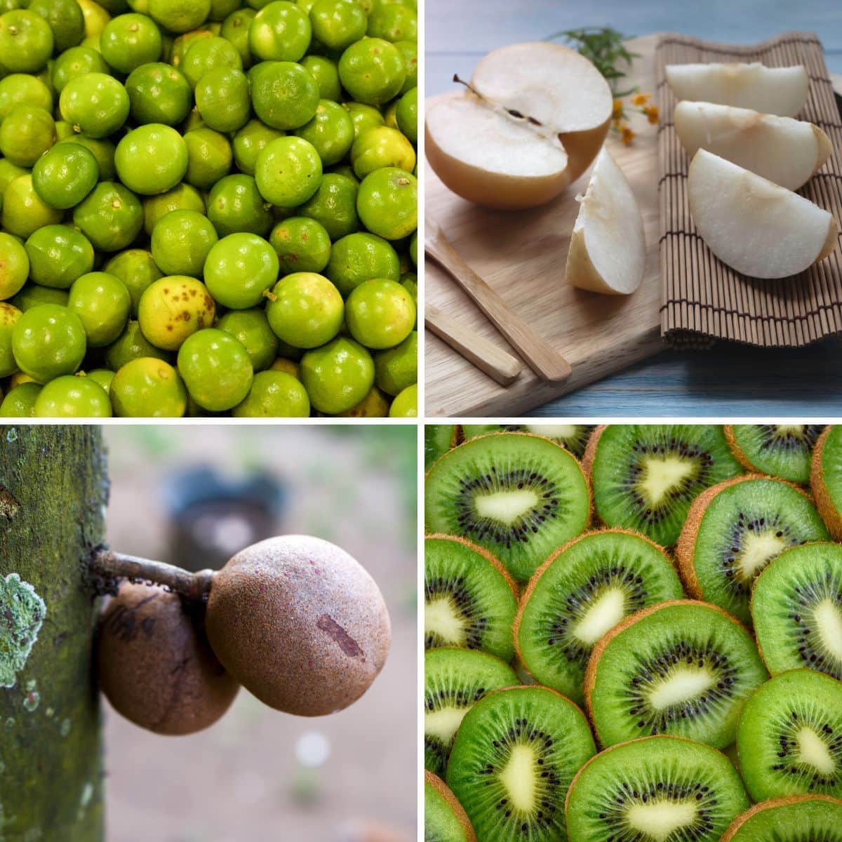 24 Surprising Fruits That Start With K: Not just kiwi!