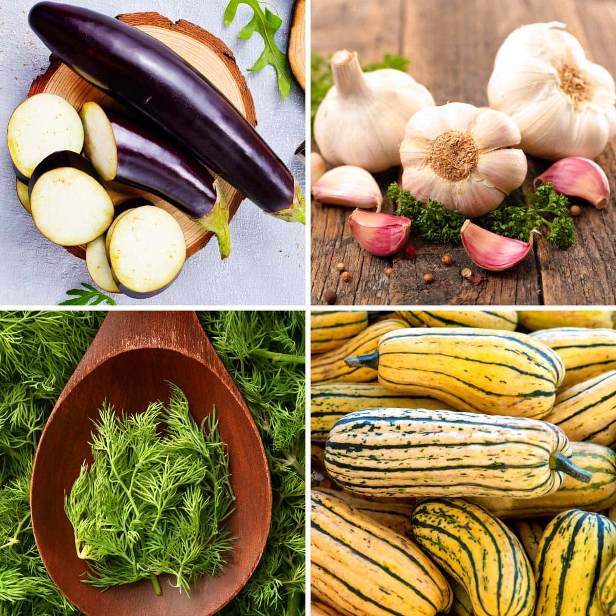 20 Interesting Vegetables That Start With D (Full List!)