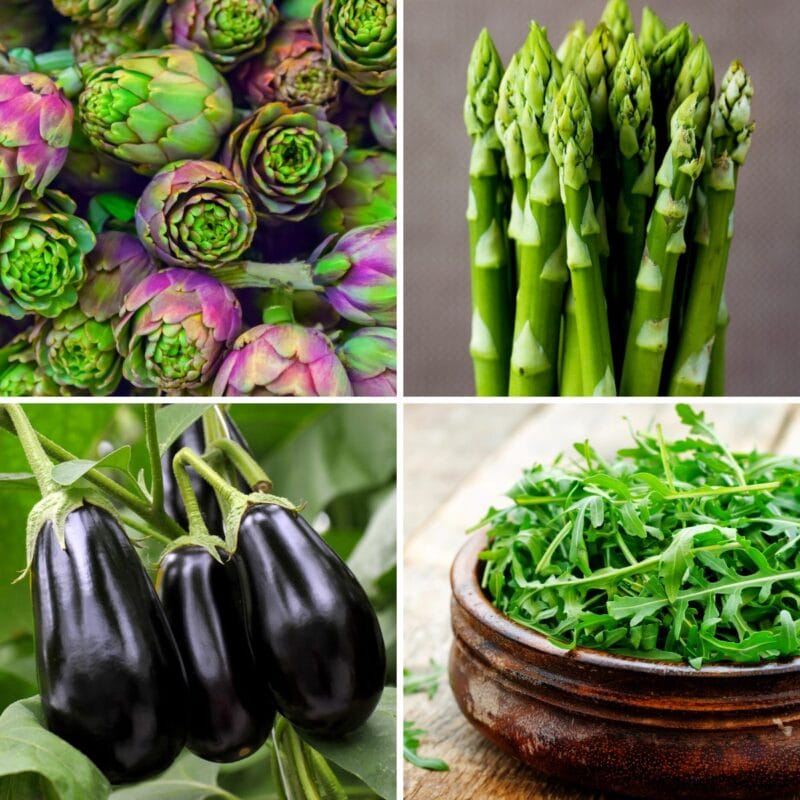 25 Awesome Vegetables That Start With A!