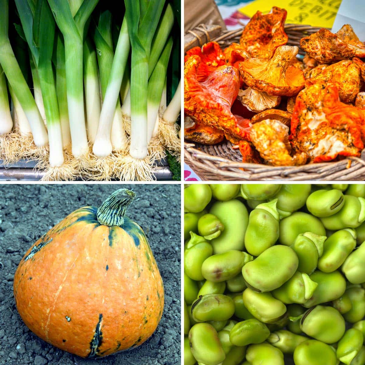 25 Vegetables Starting With L (Watch out for #12!)