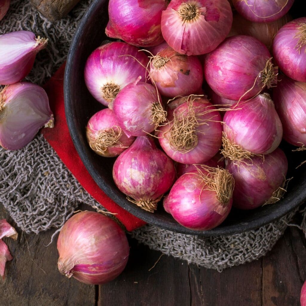 All 10 Vegetables That Start With I 2024 Edition!