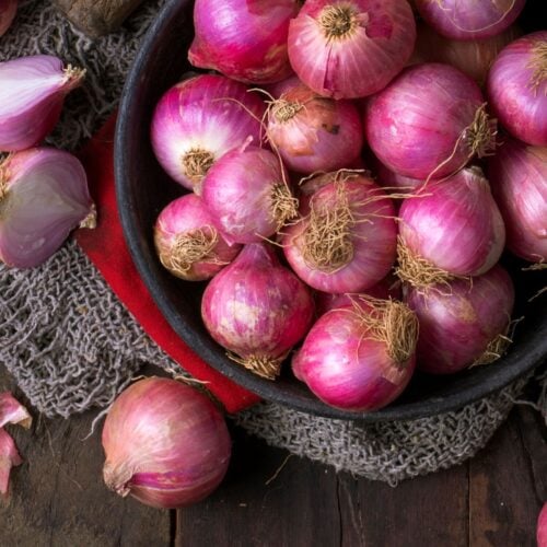 All 10 Vegetables That Start With I: 2023 Edition! | Hurry The Food Up