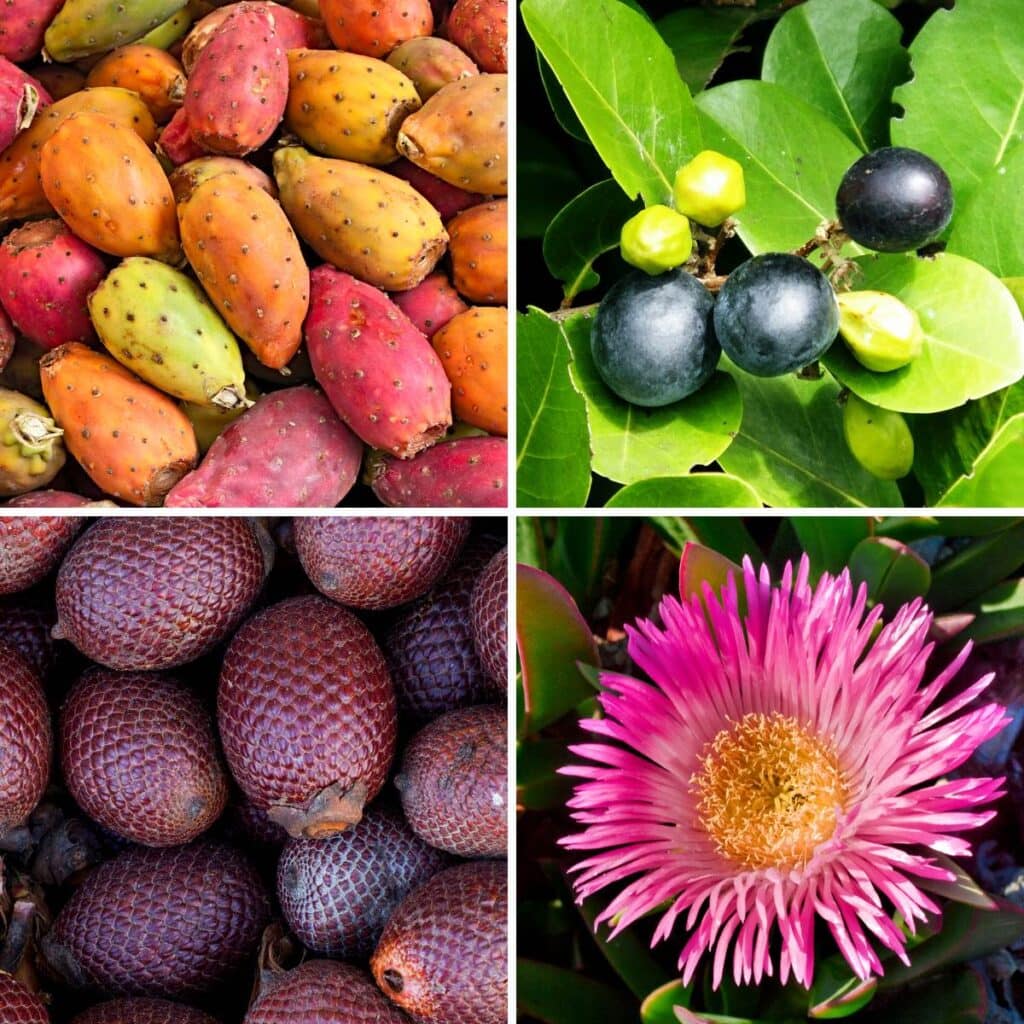 25 Fun Fruits That Start With I: But Avoid #1!
