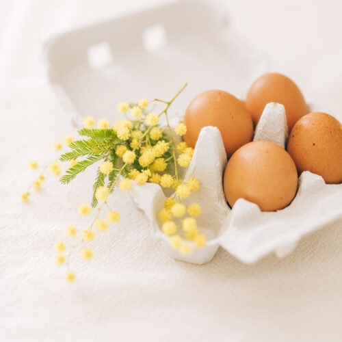 Protein in 4 eggs featured image