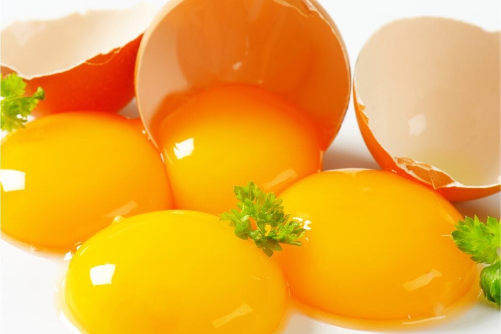 How Much Protein In An Egg Yolk: Everything To Know