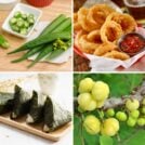 Four different foods in a grid
