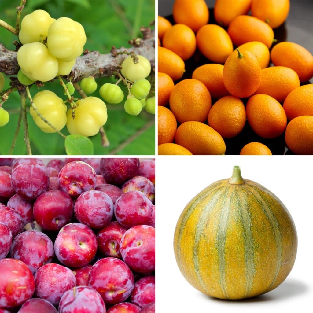 A Full List Of Surprising Fruits That Start With O (2025 edition)