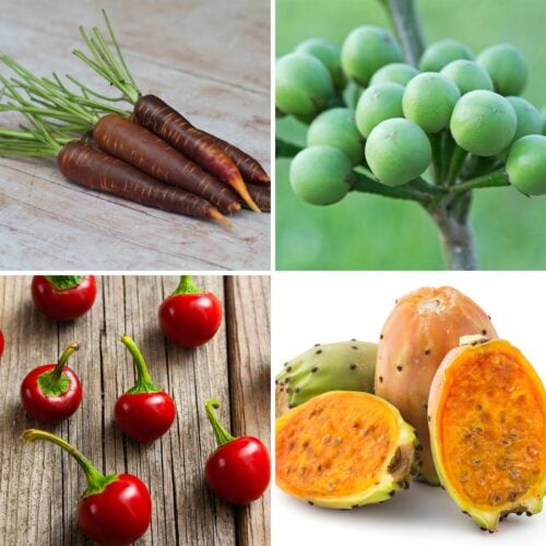 Four different vegetables in a grid