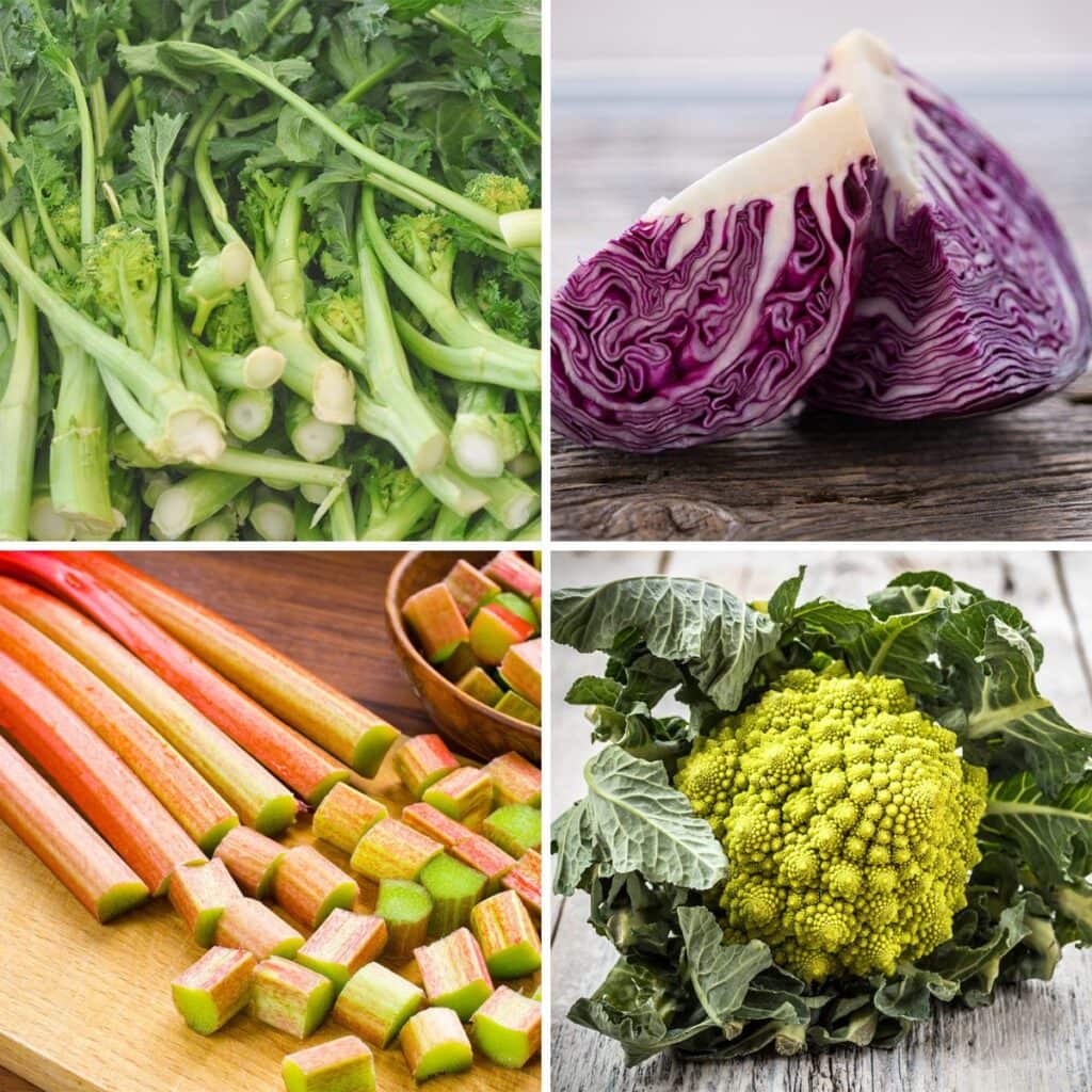 22 Vegetables That Start With R (2025 edition)