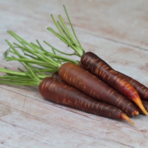 Purple carrots on wooden surface