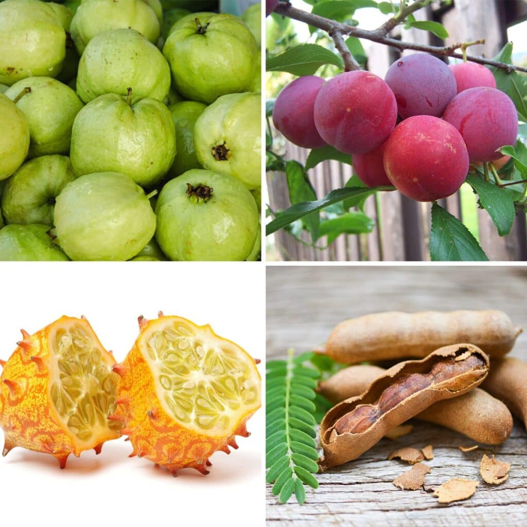 25 Surprising Fruits That Start With T: Can You Guess?