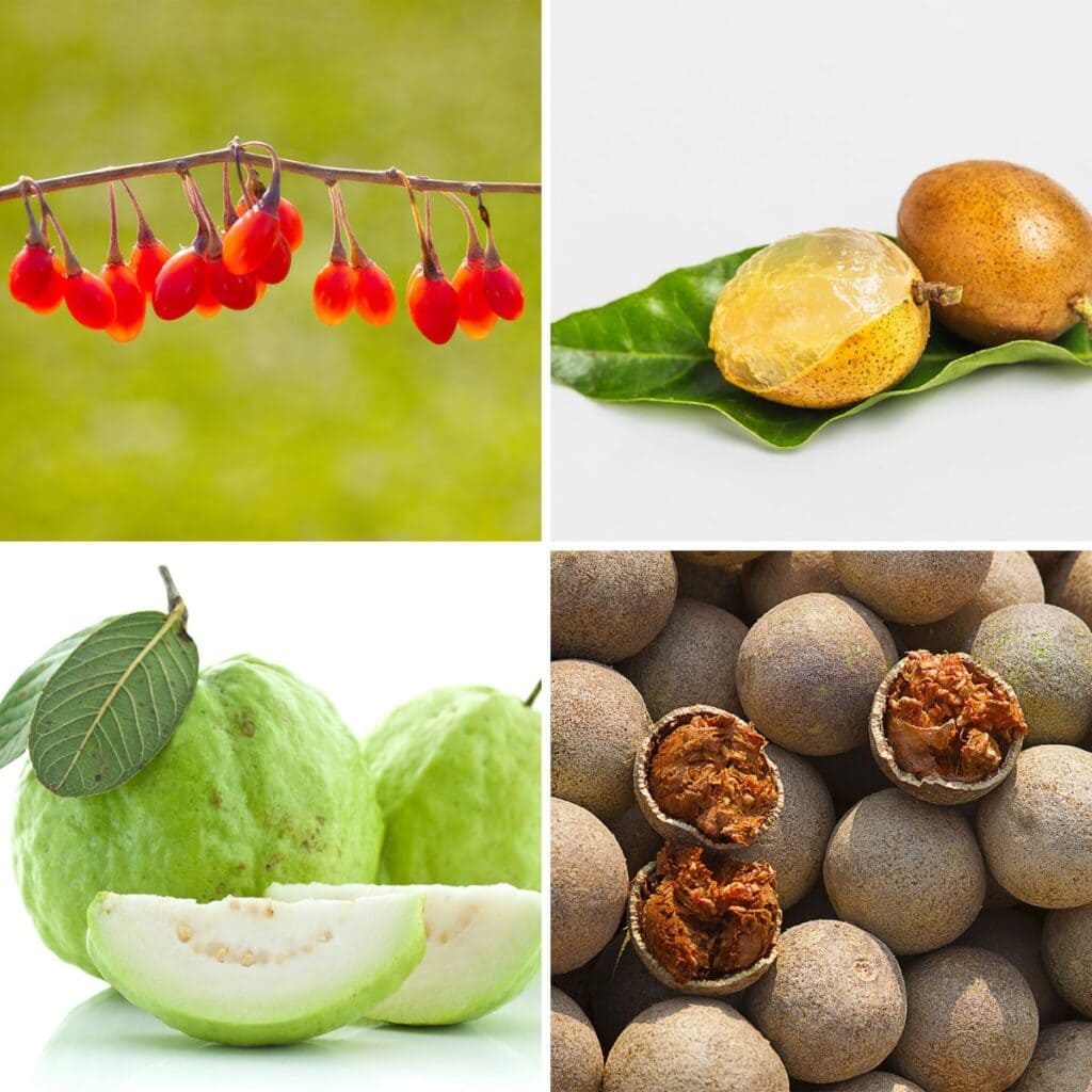 Amazing Fruits That Start With W (did you know #14?)
