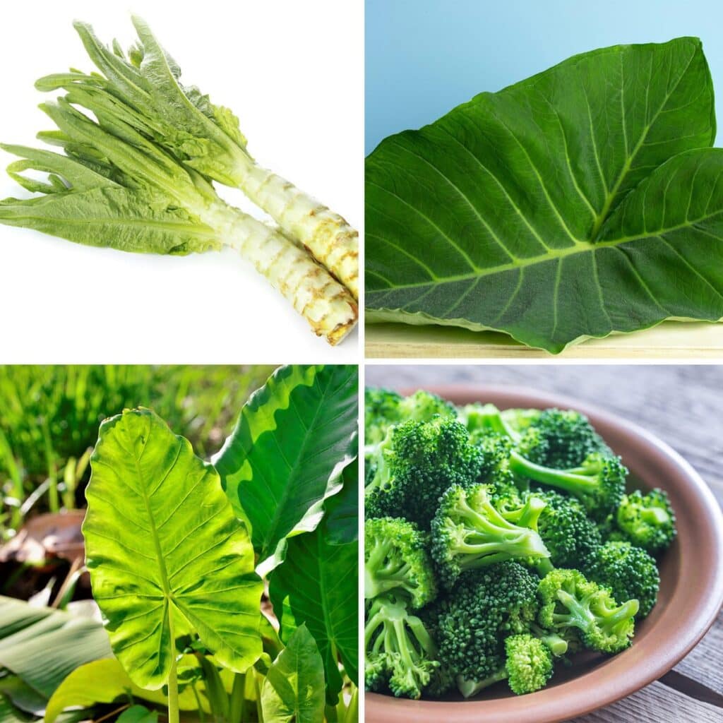 6 Surprising Vegetables That Start With X: Can You Pronounce?