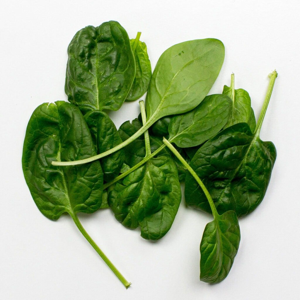 Baby spinach on white background