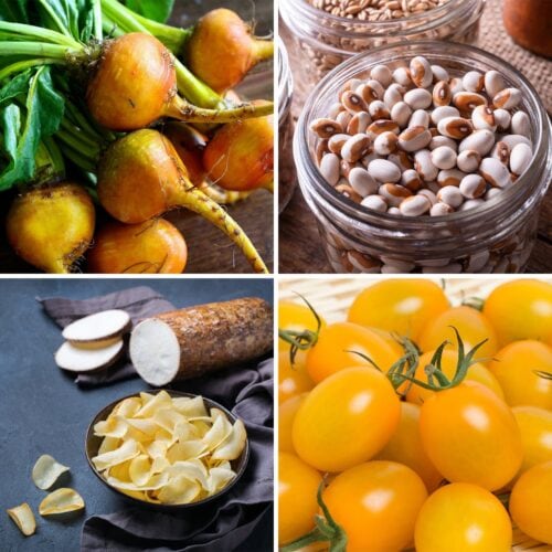 Four different vegetables in a grid