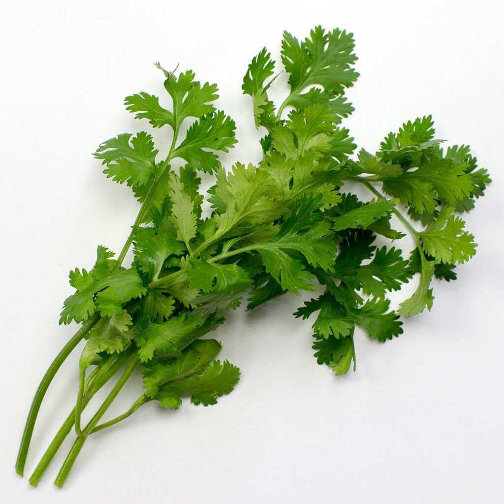 Parsley on white background