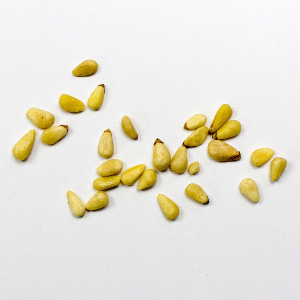 Roasted pine nuts on white surface