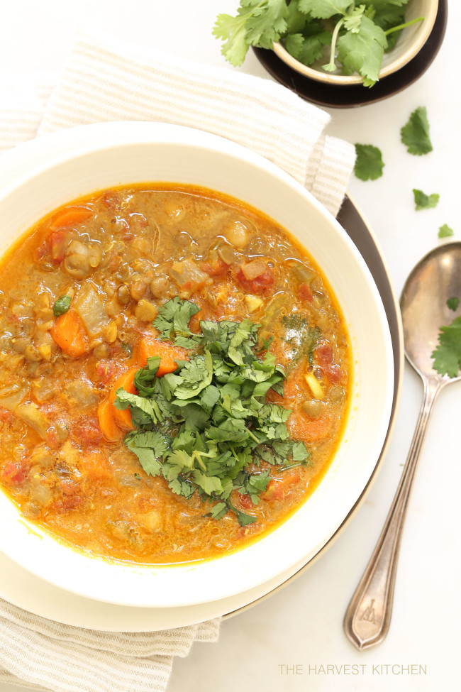 Vegan Indian Recipes Vegan Indian Recipes