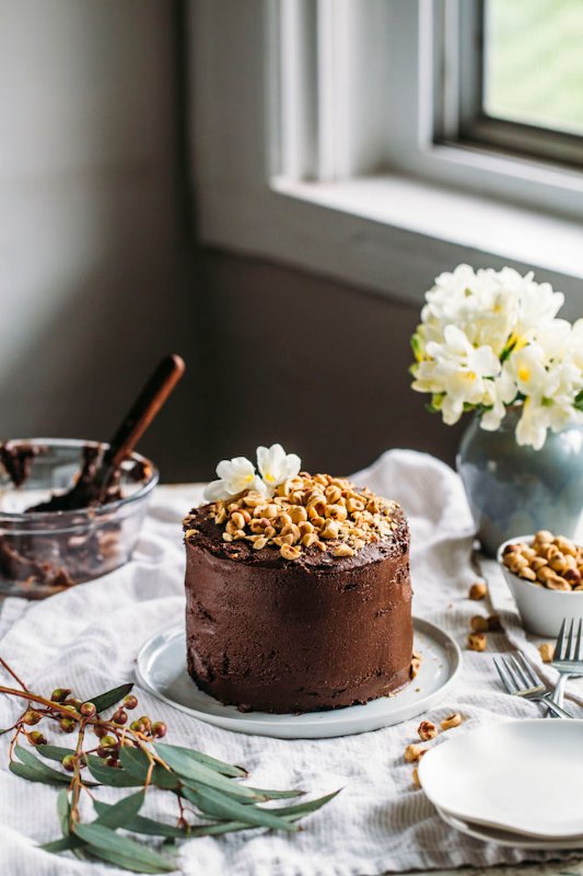 Vegan Nutella Cake